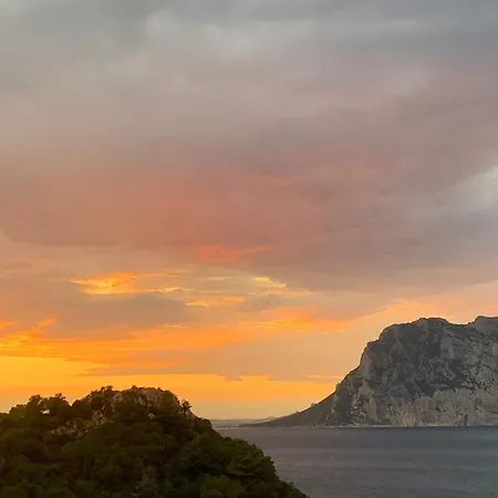San Teodoro Punta Est Monolocale Con Soppalco Vista Mare